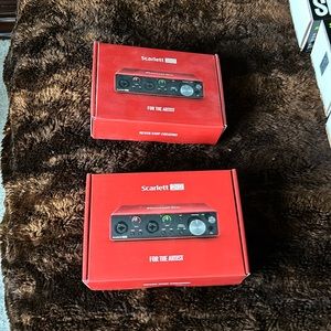 Scarlett for the artist